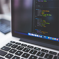 关于蘑菇影视在线观看，怎么突然这么多人在问，不是噱头，细看确实有东西