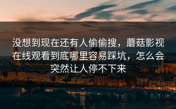 没想到现在还有人偷偷搜，蘑菇影视在线观看到底哪里容易踩坑，怎么会突然让人停不下来