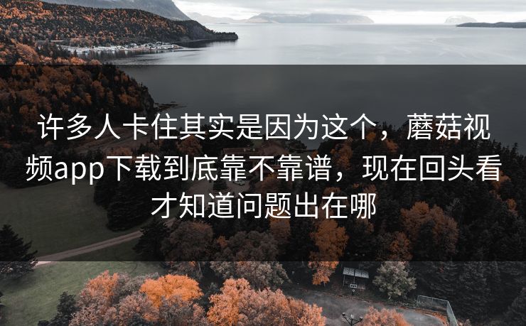 许多人卡住其实是因为这个，蘑菇视频app下载到底靠不靠谱，现在回头看才知道问题出在哪