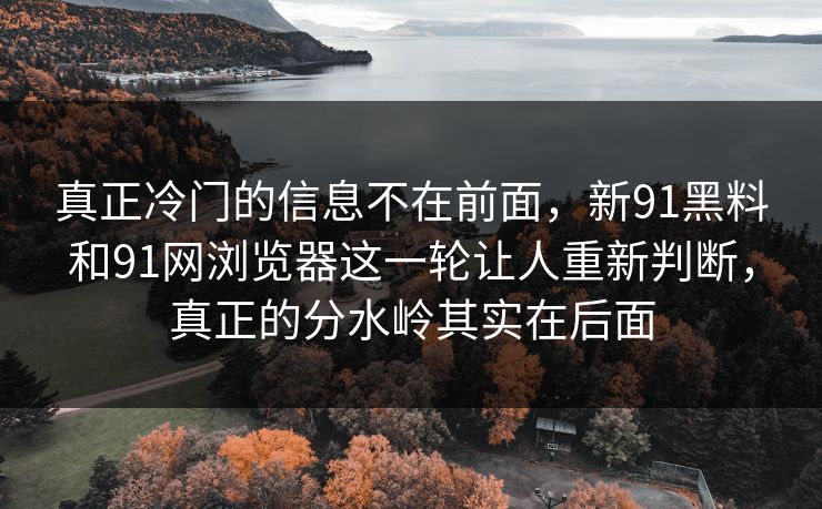 真正冷门的信息不在前面，新91黑料和91网浏览器这一轮让人重新判断，真正的分水岭其实在后面