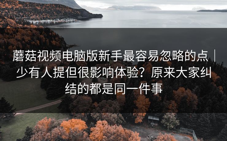 蘑菇视频电脑版新手最容易忽略的点｜少有人提但很影响体验？原来大家纠结的都是同一件事