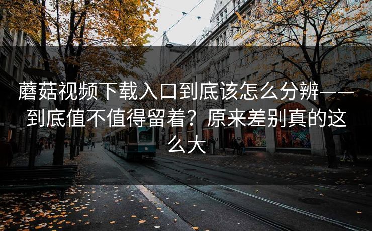 蘑菇视频下载入口到底该怎么分辨——到底值不值得留着？原来差别真的这么大