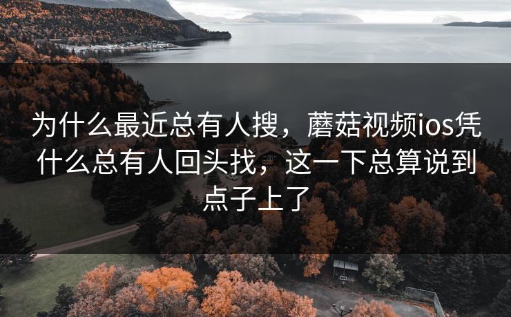 为什么最近总有人搜，蘑菇视频ios凭什么总有人回头找，这一下总算说到点子上了
