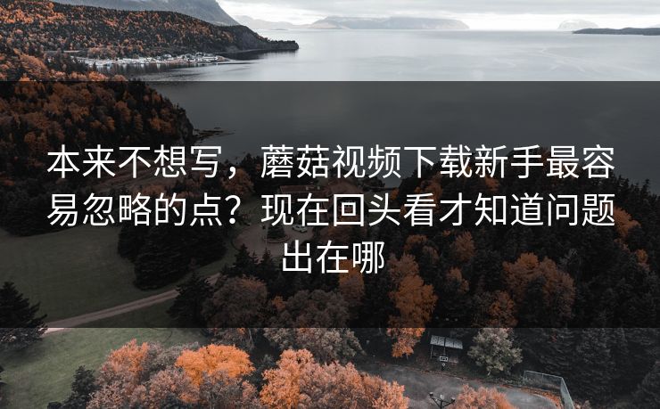 本来不想写，蘑菇视频下载新手最容易忽略的点？现在回头看才知道问题出在哪