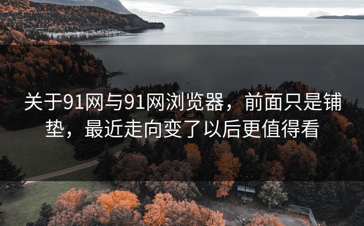 关于91网与91网浏览器，前面只是铺垫，最近走向变了以后更值得看