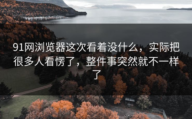 91网浏览器这次看着没什么，实际把很多人看愣了，整件事突然就不一样了