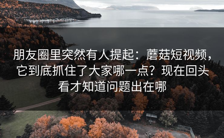 朋友圈里突然有人提起：蘑菇短视频，它到底抓住了大家哪一点？现在回头看才知道问题出在哪