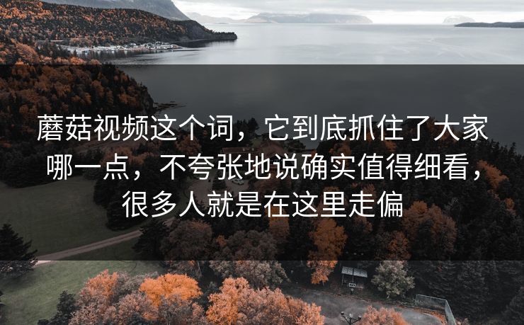 蘑菇视频这个词，它到底抓住了大家哪一点，不夸张地说确实值得细看，很多人就是在这里走偏