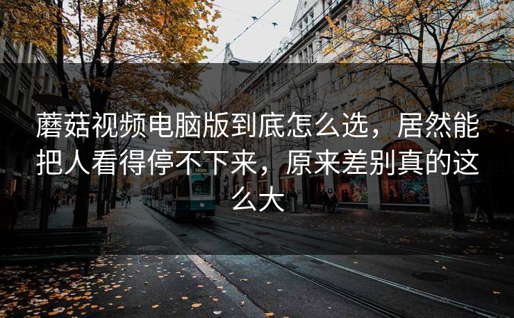 蘑菇视频电脑版到底怎么选，居然能把人看得停不下来，原来差别真的这么大
