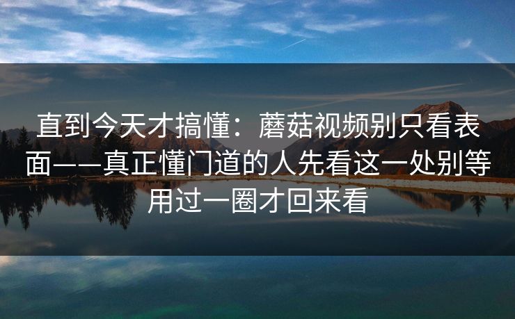 直到今天才搞懂：蘑菇视频别只看表面——真正懂门道的人先看这一处别等用过一圈才回来看