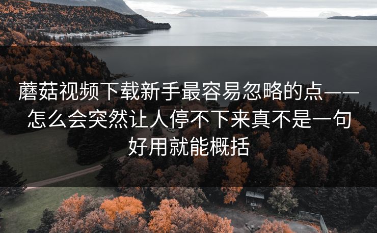 蘑菇视频下载新手最容易忽略的点——怎么会突然让人停不下来真不是一句好用就能概括