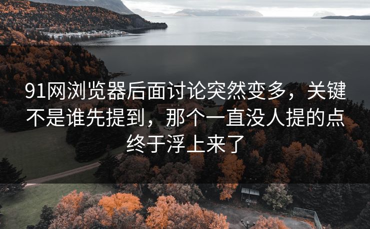 91网浏览器后面讨论突然变多，关键不是谁先提到，那个一直没人提的点终于浮上来了