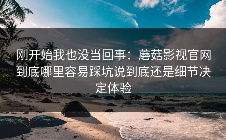 刚开始我也没当回事：蘑菇影视官网到底哪里容易踩坑说到底还是细节决定体验