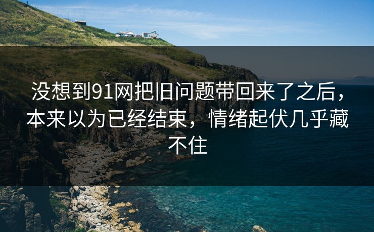 没想到91网把旧问题带回来了之后，本来以为已经结束，情绪起伏几乎藏不住