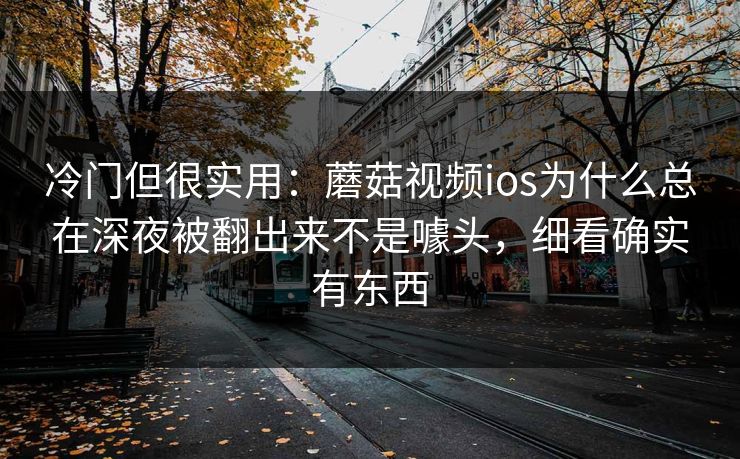 冷门但很实用：蘑菇视频ios为什么总在深夜被翻出来不是噱头，细看确实有东西