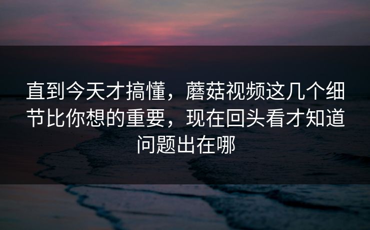 直到今天才搞懂，蘑菇视频这几个细节比你想的重要，现在回头看才知道问题出在哪