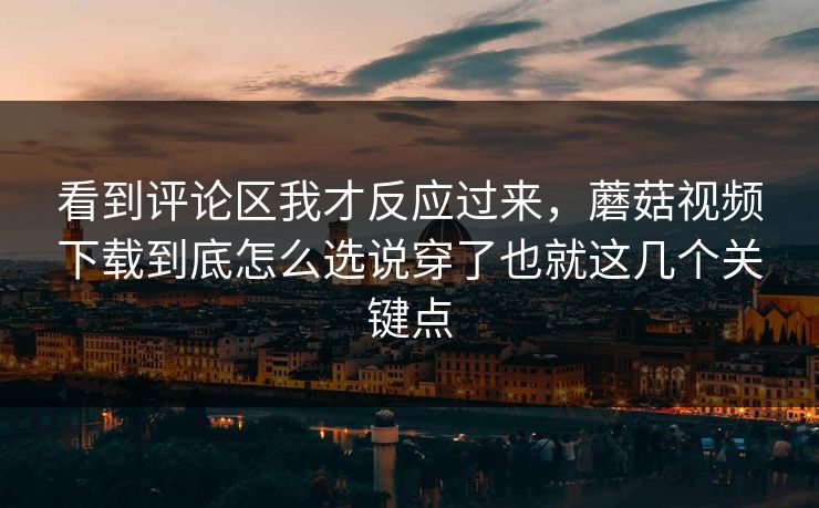 看到评论区我才反应过来，蘑菇视频下载到底怎么选说穿了也就这几个关键点