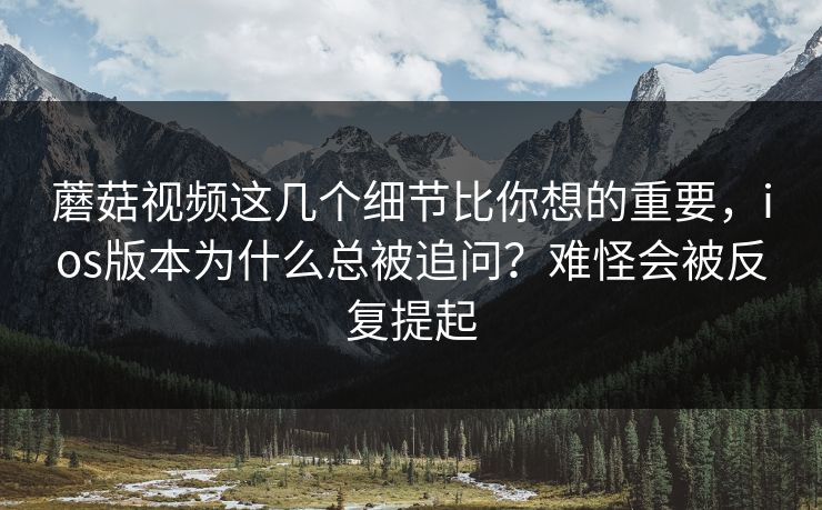 蘑菇视频这几个细节比你想的重要，ios版本为什么总被追问？难怪会被反复提起