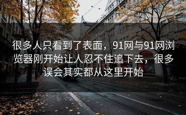很多人只看到了表面，91网与91网浏览器刚开始让人忍不住追下去，很多误会其实都从这里开始